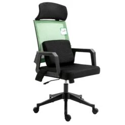 Beni Plus Mesh Swivel Office Chair With Massage Lumbar Cushion In Green